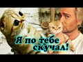 Николай Басков после болезни встретился со своей любимицей кошкой Шанель
