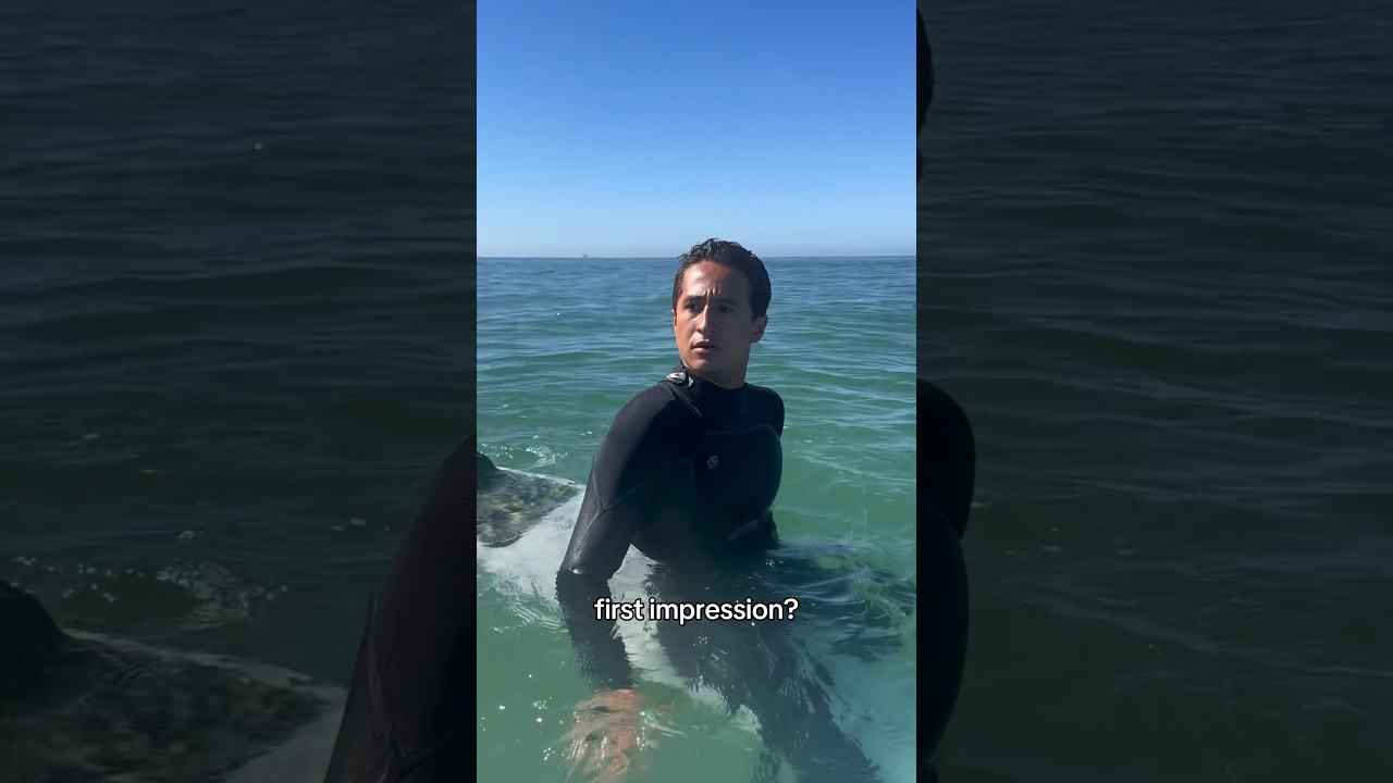 Каково ваше первое впечатление о начинающем серфере в лайнапе?