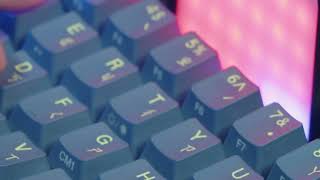 Tech Tuned Noise Monstersglowing Neon Dreams The Smooth Oiled Bouncy Power Of 60% Keyboards 2