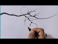 Moonlit Cherry Blossoms