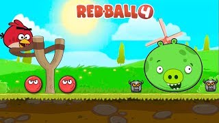 Angry Bird Vs Boss Red Ball 4 Pigy Green Hills Capture Fight
