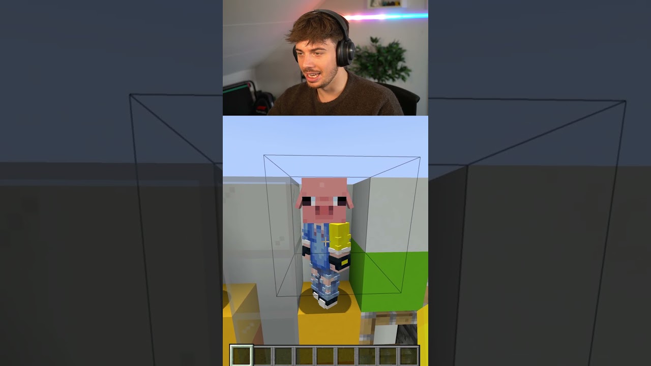Wie Ben Ik (Minecraft)