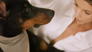 VERVVE | A touch of unique style to your furry friend's look VERVVE | A touch of unique style to your furry friend's look