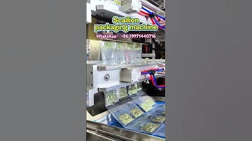 Scallion packaging machine#Scallionpackagingmachine#Sugarpackagingmachine#packagingmachine