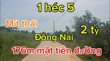 1 héc 5 hơn 600 cây mít thái 176m mặt tiền đường điện nước đầy đủ giá bán 2 tỷ 