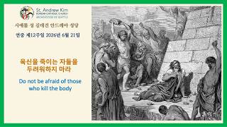 연중 제12주일 (2026년 6월 21일