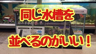 金魚水槽サイズアップ Youtube 金魚水槽サイズアップ Youtube