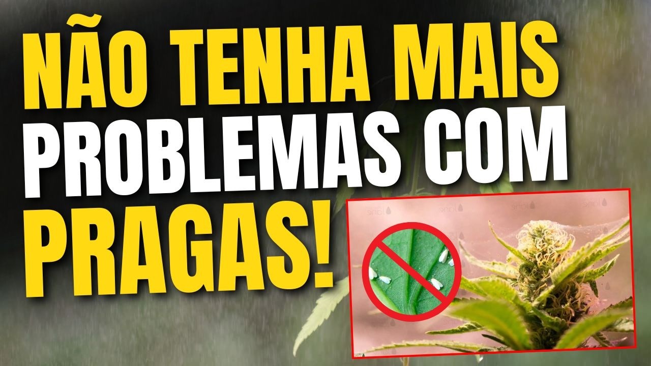 MANUAL DEFINITIVO: Como ACABAR com as PRAGAS no CULTIVO INDOOR e OUTDOOR?