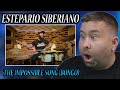 UNBELIEVABLE!!! | The Impossible (Bongo) Song By El Estepario Siberiano | Music Teacher