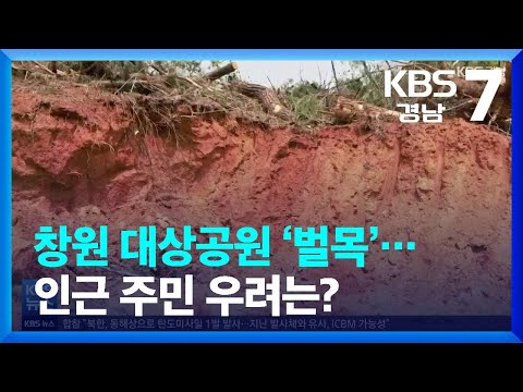 [풀뿌리 언론K] 창원 대상공원 ‘벌목’…인근 주민 우려는? / KBS  2022.05.04.