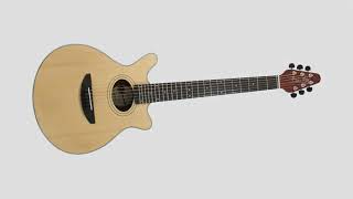 BMG Rhapsody Electro Acoustic Guitar Unboxing