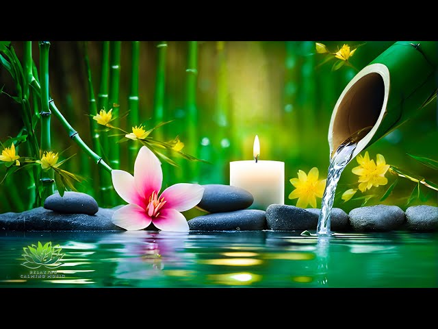 Relaxing Music Relieves Stress, Anxiety and Depression - Heals The Mind, Body and Soul - Deep Sleep class=