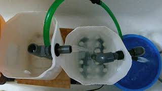 operation U siphon 2