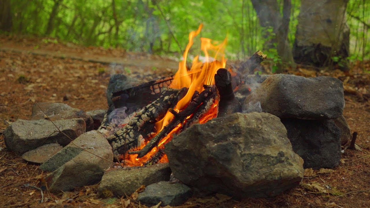 Mira ASMR:Sounds of Nature in Japan.river & Birds & bonfire.【4K】 en YouTube Mira ASMR:Sounds of Nature in Japan.river & Birds & bonfire.【4K】 en YouTube