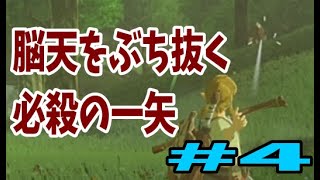 ゼルダ イノシシ ハイラルの平和は後回しで ゼルダの伝説 ブレス オブ ザ ワイルド をゆるーく楽しむ方法 ゼルダ イノシシ ハイラルの平和は後回しで ゼルダの伝説 ブレス オブ ザ ワイルド をゆるーく楽しむ方法