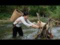 90 Miraculous Days: Han's Journey to Rescue a Stray Dog and Abandoned Ducks