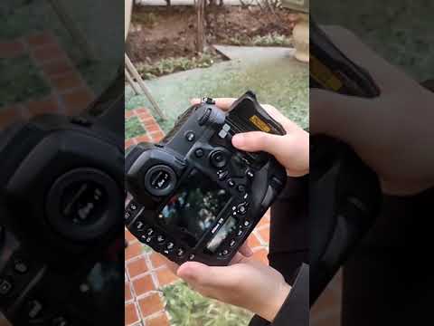 Video: Nikon d5 giá bao nhiêu?