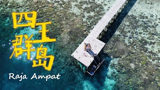 Raja Ampat, Indonesia EP2 - The last paradise of Divers | Mantas | Snorkelling | Diving