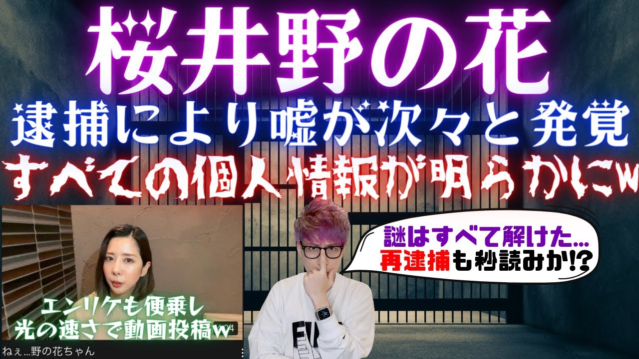 桜井野の花逮捕の動画 画像 動画検索 マイルドサイト