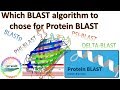 Which blast algorithm to use for proteinprotein blast