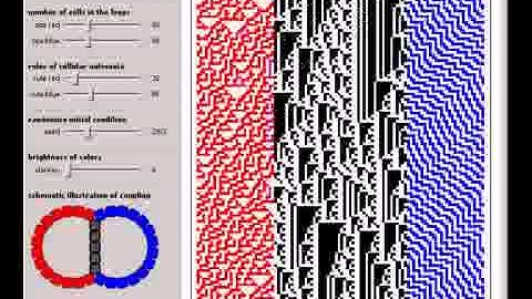 Cellular Automata Coupled by Overlap or Common Boundary