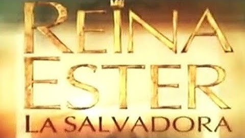 Capitulo 1. El primer encuentro