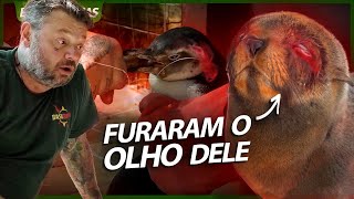 FURARAM O OLHO DESTE ANIMAL DE PROPÓSITO! | RICHARD RASMUSSEN