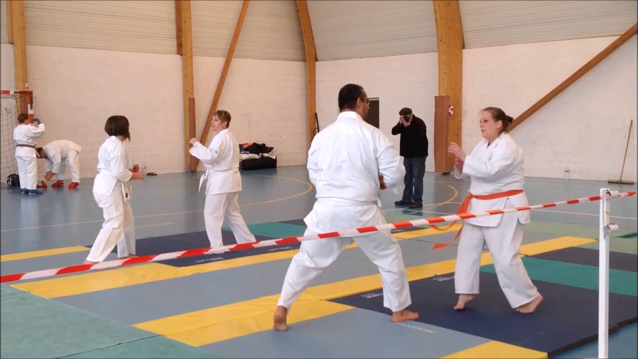 Démonstration Karaté Shotokan adulte YouTube