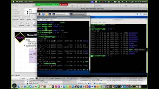 Monitoring the processes & Setting environments on Raspberry Pi OS