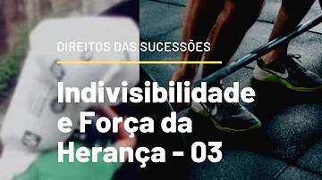 O que é o princípio da indivisibilidade da herança?