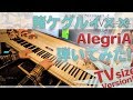 【賭ケグルイ&times;&times;ED】「AlegriA」をちょっと簡単にピアノアレンジして弾いてみました!【AlegriA from Kakegurui&times;&times;】