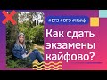 Как не сойти с ума во время подготовки к экзаменам? Стресс / ОГЭ / ЕГЭ