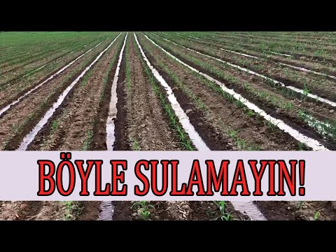 Video: Sulama: Farklı Mahsullerin Sulanmasının Nüansları