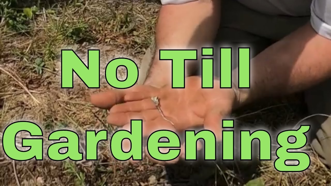 No till gardening made simple. A look at how to start a garden and no ...