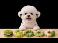 ASMR Fluffy Dog Mukbang Eating New Matcha Donuts ふわふわ犬がもぐもぐ抹茶ドーナツ