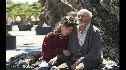 『オリーブの樹は呼んでいる』日本版予告編