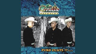 Video thumbnail of "Los Cuates de Sinaloa - La Calenera"