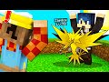 TROVO LA PALESTRA DI STEF NELLA PIXELMON SU MINECRAFT ITA!!