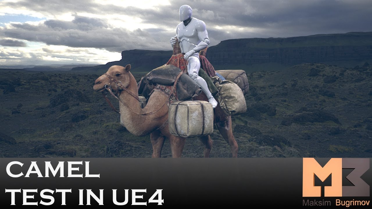 Camel Test In UE4 - YouTube