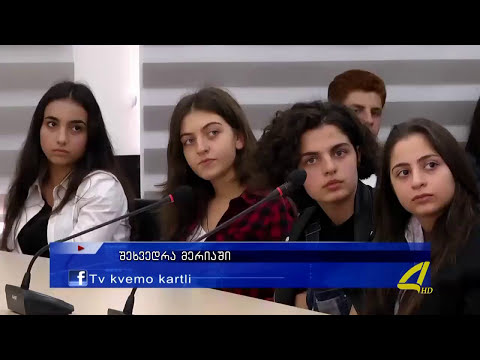 ახალგაზრდული ტრენინგი რუსთავში, Youth Reflex