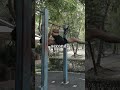 7 Steps to Master the Front Lever 💪