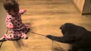 Вика играет с котом.