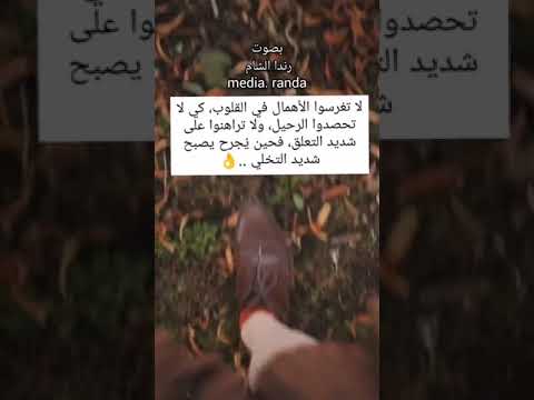 لاتغرسوا الاهمال رندا شعر Randa كلمات 