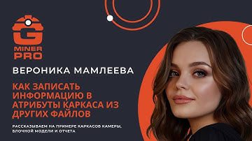 Запись информации в свойства каркаса из других файлов в ГГИС Micromine Origin & Beyond