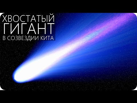 ЗВЕЗДА С ХВОСТОМ В 13 СВЕТОВЫХ ЛЕТ, КАК ЭТО ВОЗМОЖНО? (Мира кита)