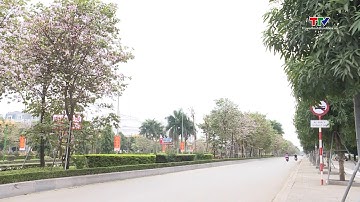 Tiếp tục xử lý bất cập đèn tín hiệu, biển báo