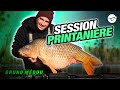 Carp fishing session printaniere