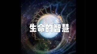 201502 生命的智慧21028