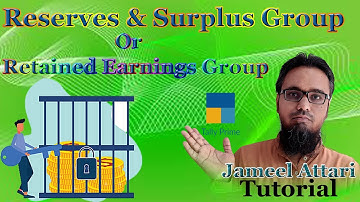 Reserves & Surplus Group in Tally Prime | Retained Earnings Group in Tally Prime