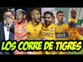 EL PIOJO HERRERA REGRESA PARA CORRER A ESTOS JUGADORES Y CONTRATAR MEJORES REFUERZOS PARA TIGRES